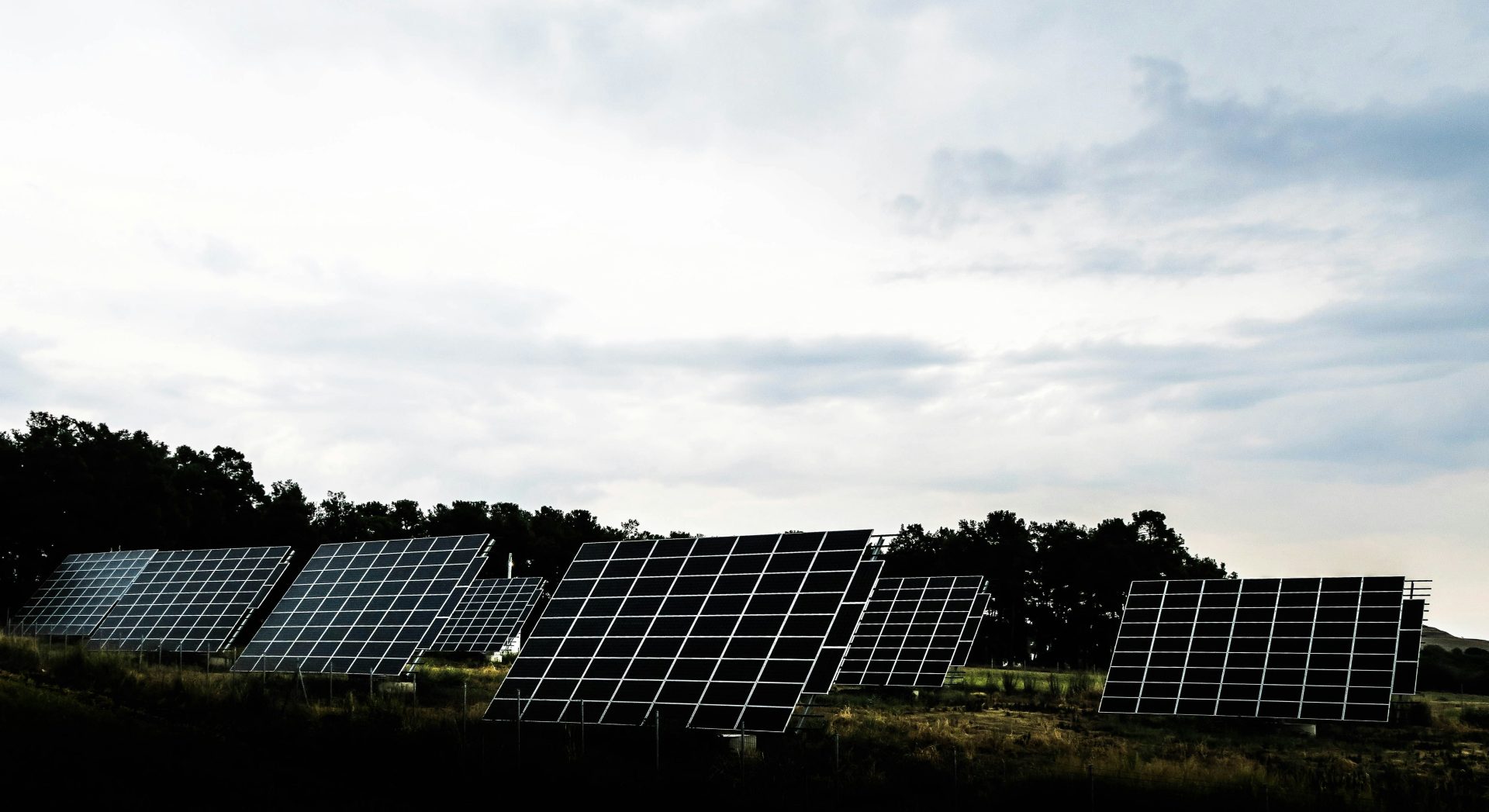 Solarmodule unter blauem Himmel