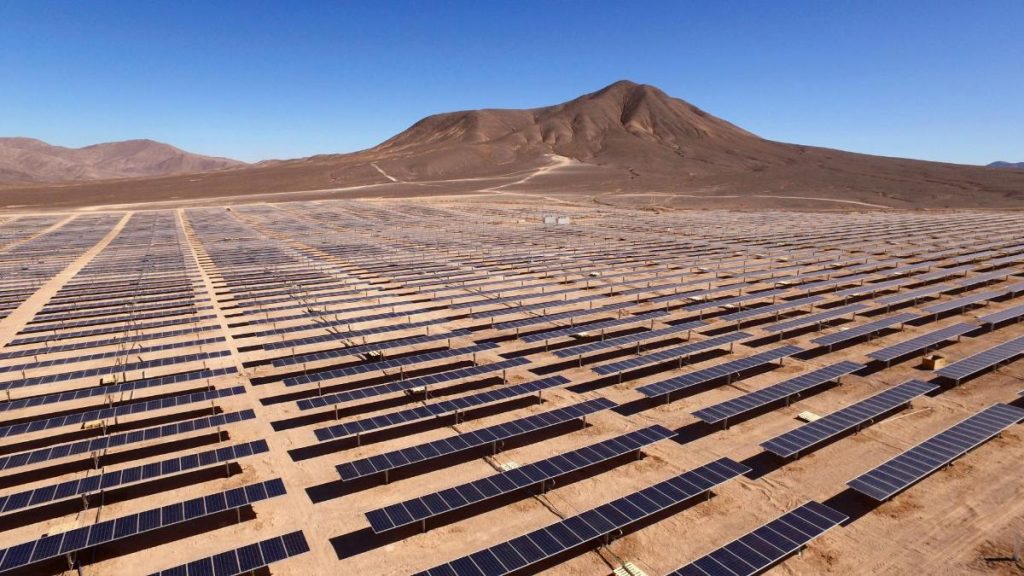 Solarmodule unter blauem Himmel