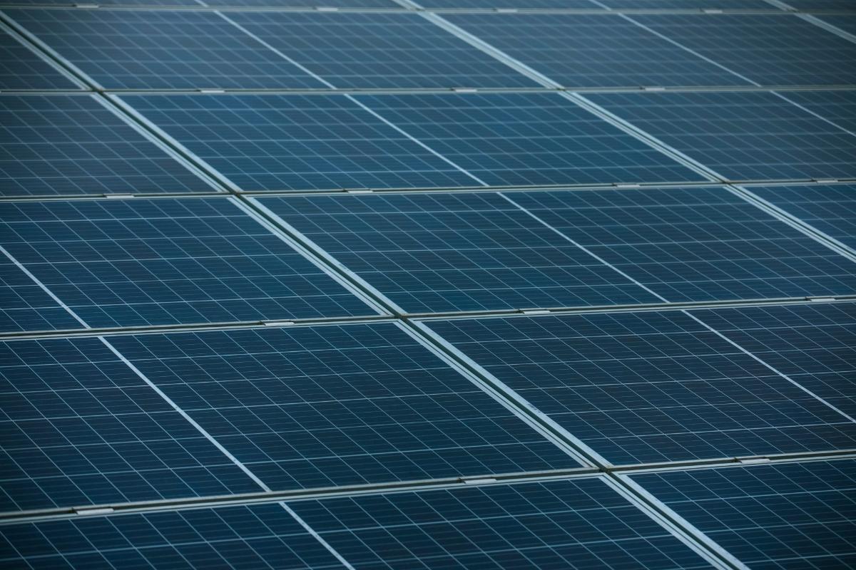 Solarmodule unter blauem Himmel